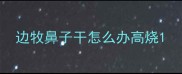 边牧鼻子干怎么办高烧