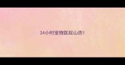 24小时宠物医院山西
