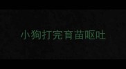 小狗打完育苗呕吐