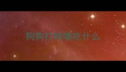 狗狗打喷嚏吃什么