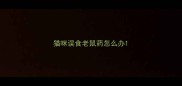 猫咪误食老鼠药怎么办