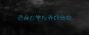 适合在学校养的宠物
