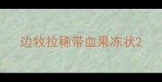 边牧拉稀带血果冻状
