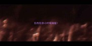 拉布拉多小时候地板