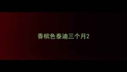 香槟色泰迪三个月
