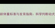 边境牧羊犬5月龄体重标准与发育指南科学判断幼犬健康生长曲线