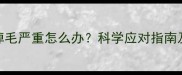 哈士奇7个月掉毛严重怎么办科学应对指南及日常护理全
