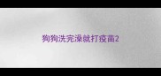 狗狗洗完澡就打疫苗