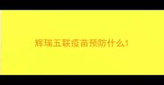 辉瑞五联疫苗预防什么