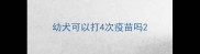 幼犬可以打4次疫苗吗