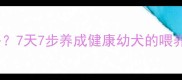 如何科学喂养奶狗拉布拉多7天7步养成健康幼犬的喂养指南附常见问题解答
