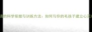 宠物沟通的科学依据与训练方法如何与你的毛孩子建立心灵感应