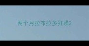 两个月拉布拉多狂躁
