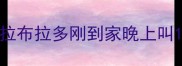 拉布拉多刚到家晚上叫