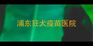 浦东狂犬疫苗医院