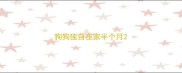 狗狗独自在家半个月