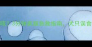 小狗误吞水导致呛咳3分钟家庭急救指南犬只误食水后正确处理方法