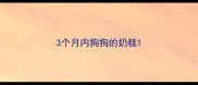 3个月内狗狗的奶糕