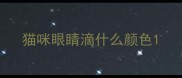 猫咪眼睛滴什么颜色