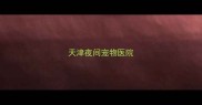天津夜间宠物医院