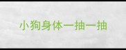 小狗身体一抽一抽