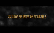 深圳的宠物市场在哪里