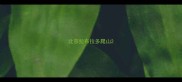 北京拉布拉多爬山