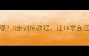 哈士奇叫声像狼嚎3步训练教程让TA学会汪出高级感