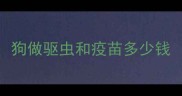狗做驱虫和疫苗多少钱