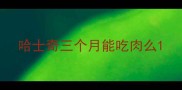 哈士奇三个月能吃肉么