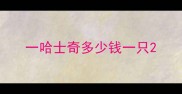 一哈士奇多少钱一只