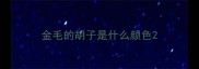 金毛的胡子是什么颜色