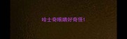 哈士奇眼睛好奇怪