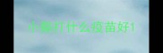 小獒打什么疫苗好