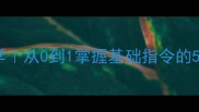 新手必看狗狗训练口令教学从0到1掌握基础指令的5个步骤附常见问题解答