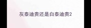灰泰迪贵还是白泰迪贵