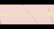 狗狗打疫苗全攻略最佳时间地点注意事项及常见问题