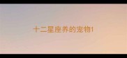 十二星座养的宠物