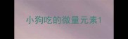小狗吃的微量元素