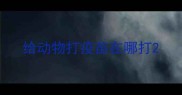 给动物打疫苗在哪打