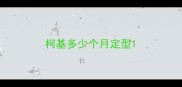 柯基多少个月定型
