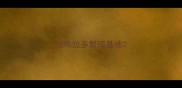 拉布拉多繁殖基地