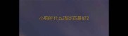 小狗吃什么消炎药最好