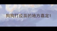 狗狗打疫苗的地方嘉定