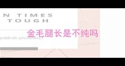 金毛腿长是不纯吗