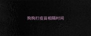 狗狗打疫苗相隔时间