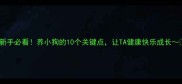 新手必看养小狗的10个关键点让TA健康快乐成长