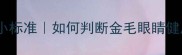金毛犬眼睛正常大小标准如何判断金毛眼睛健康附养护全攻略