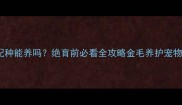 金毛公犬不配种能养吗绝育前必看全攻略金毛养护宠物健康养狗知识