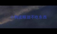 小狗流眼泪不吃东西